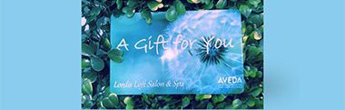 Lordis Loft Aveda Gift Card Website